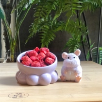 Cat-time-three rabbit guinea pig hamster hamster dragon cat fruit strawberry dry 20 gr