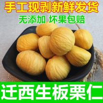 2021 New chestnut Qianxi raw chestnut fresh shelled chestnut kernel vacuum plate millet