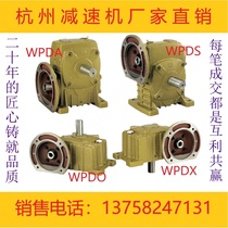 Réducteur à vis sans fin WPDA WPDS WPDO WPDX coque en fer turbine WP petit réducteur boîte de vitesses