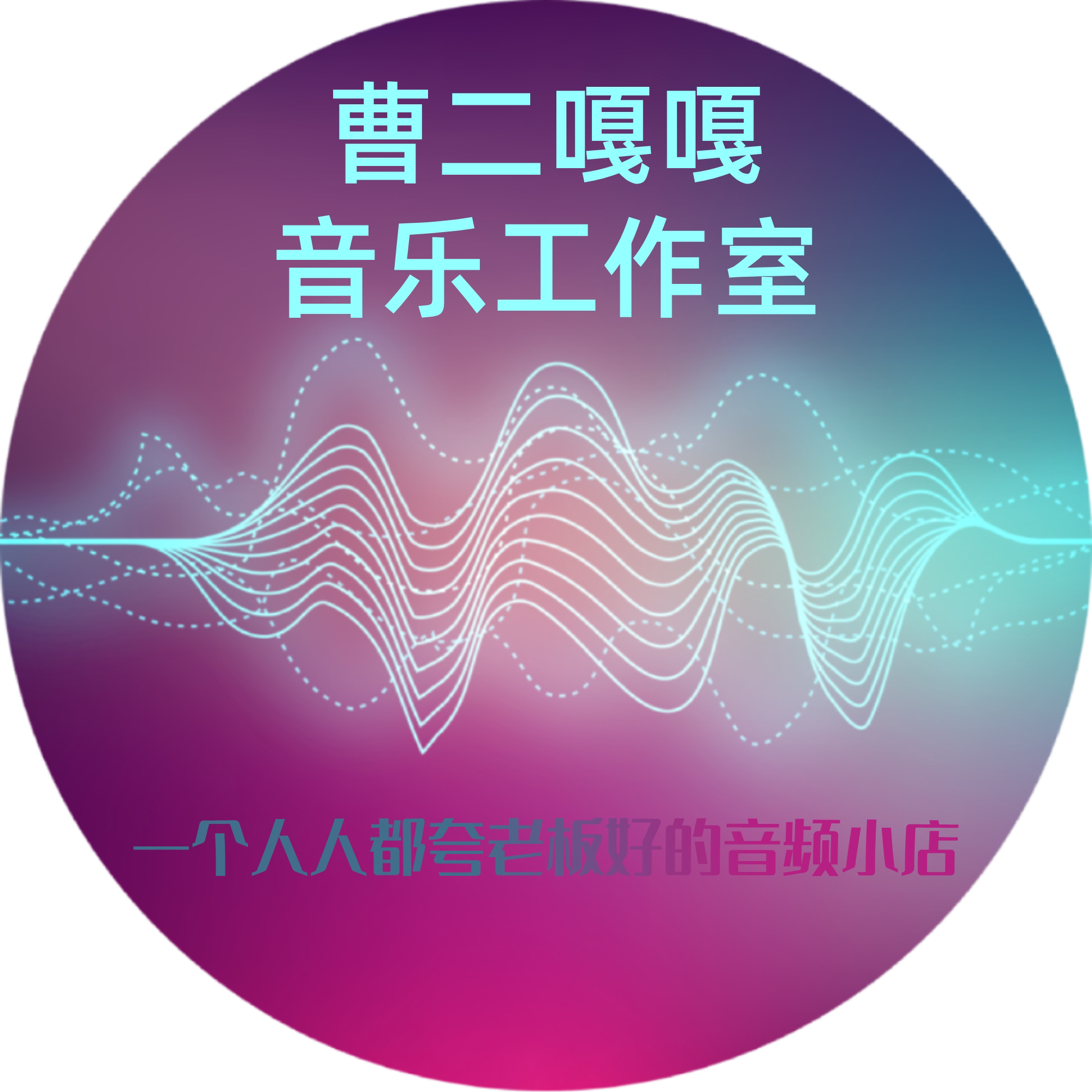 曹二嘎嘎音乐工作室