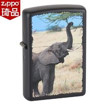 zippo lighter genuine US male zppo original zippoo cheese treasure zippo elephant line world