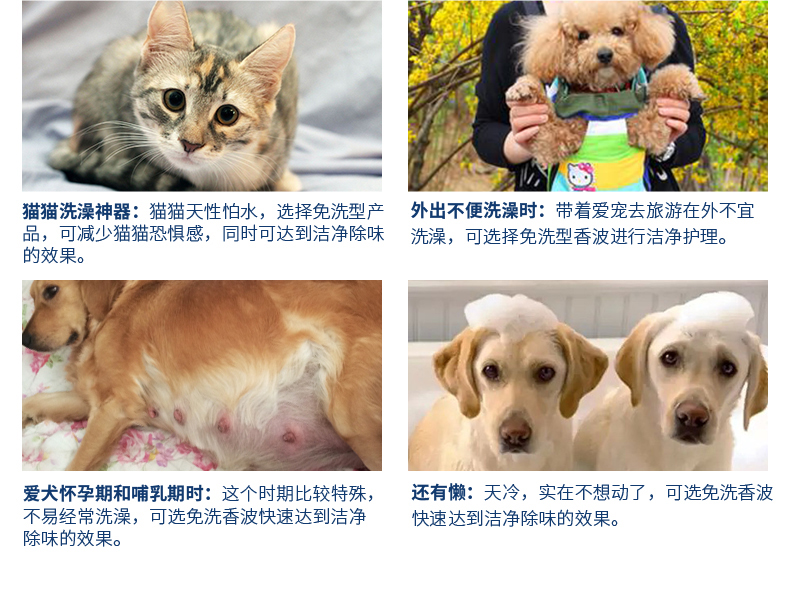 Glenn Shibao dầu gội dùng một lần Jin Mao Teddy hơn gấu chó mèo tắm gel khô làm sạch bột vani tắm nhẹ cho thú cưng - Cat / Dog Beauty & Cleaning Supplies 	lược chải xù lông chó