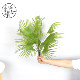 Highly Realistic Fern Plant Decorations, Persian Fern Leaf Wall Hangings, Popular Photography Props