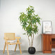 Money Tree Artificial Green Plant Indoor Shopping Mall Store Opening Decoration Ornaments Fake Tree Landscaping Disassembly and Assembly Large Potted Plant