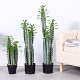Simulated Cactus Tropical Desert Green Plant Landscaping Indoor Staircase Under-Window Decoration Large Ornament Fake Cactus Column