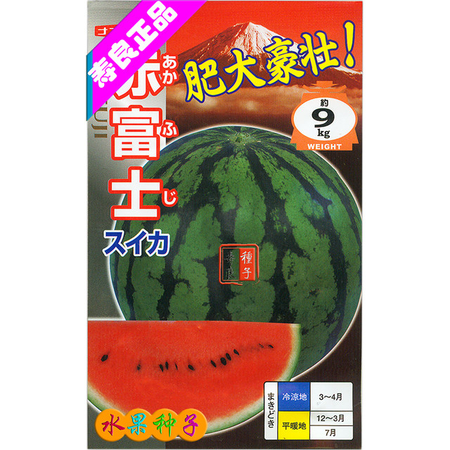 Super special Fuji spherical sand sweet imported large watermelon