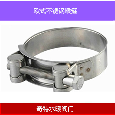 不锈钢强力卡箍 欧式强力抱箍胶管软管喉箍管箍管束管夹 大尺寸