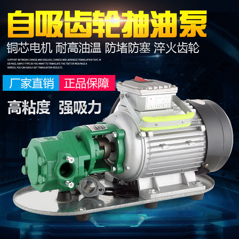WCB small stainless steel self-priming gear oil pump 220V hydraulic oil oil pump diesel pump edible oil pump