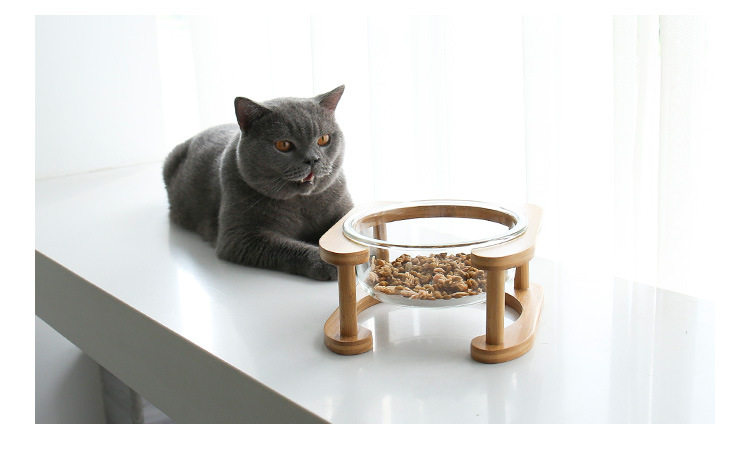 Платформа Glass Cat Bowl_03.jpg