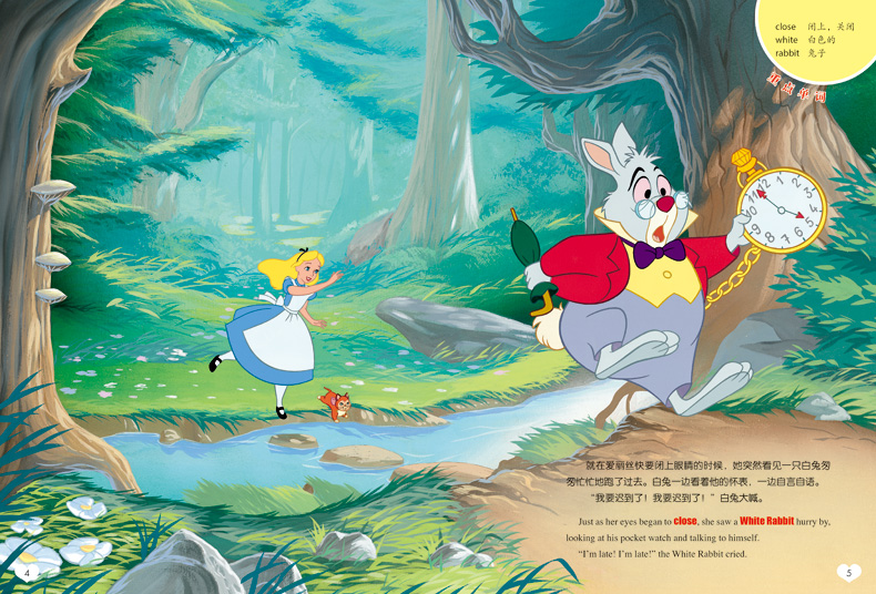 Alice In Wonderland Story Book