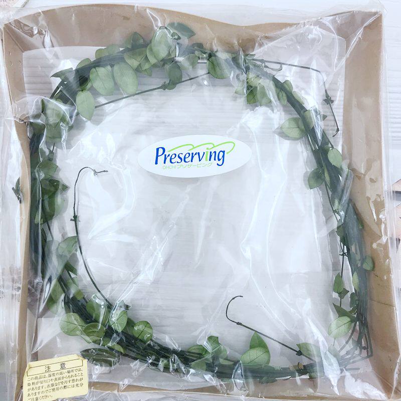 Japan imports eternal flowers from land farm with leaves DIY ingredients preserved green leaf branches