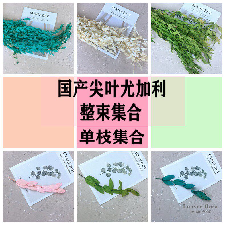 Domestic olive branch eternal flower ornaments Eucalyptus leaf branches embellish branches small leaves DIY accessories Single branch whole bunch