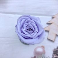 6 фиалки, желатинизированные