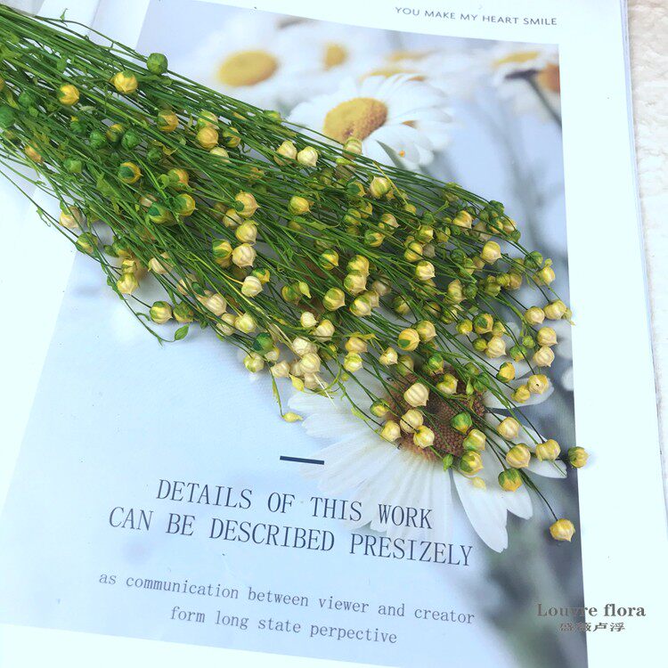 Japan Imports Earth Farmyard Rich beans Rich Bean Xiangya Flowers Diy Matching Materials 35010 Series of Whole Bunch 25 gr