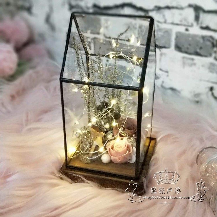 Geometric flower room glass cover dream small garden house transparent micro landscape glow lamp immortal flower diy making flower utensils
