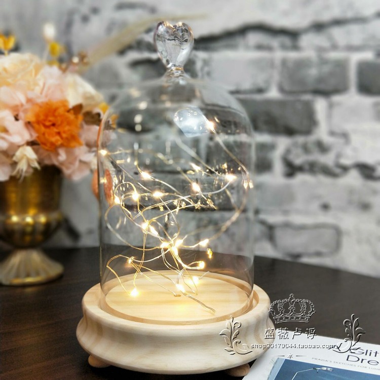 Hoa thủy tinh vĩnh cửu với ánh sáng chuỗi ánh sáng trong suốt chai đêm ánh sáng vi cảnh trang trí ngày của mẹ món quà tự làm các đồ trang trí nhà đẹp