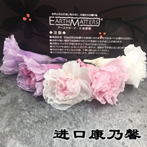Japan imports the earth farmyard evergreen flower carnation 3-4CM single refreshing flower diy material Mothers Day moms