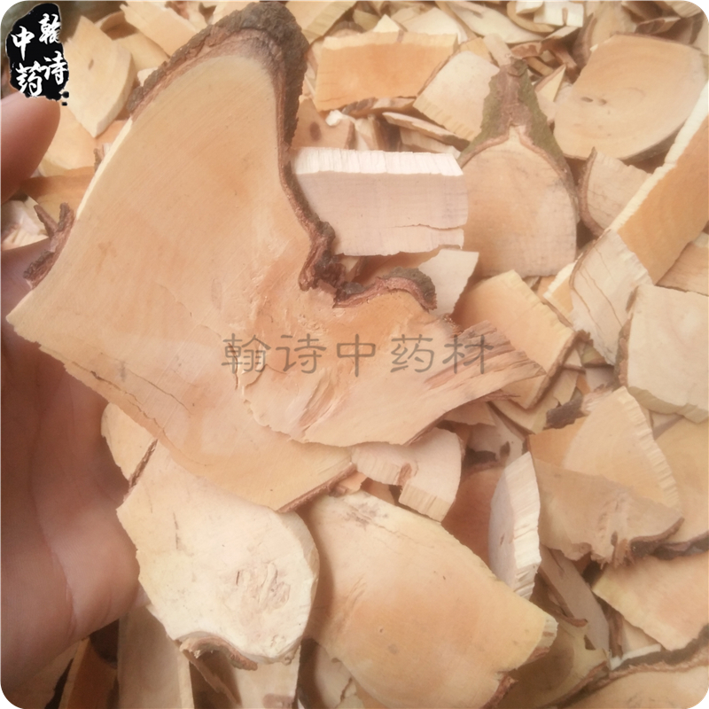 The Chinese medicine medicine large - scale umbrella 500 grams of Zhu Sangan iron - column three pink - flowers of large Changshan