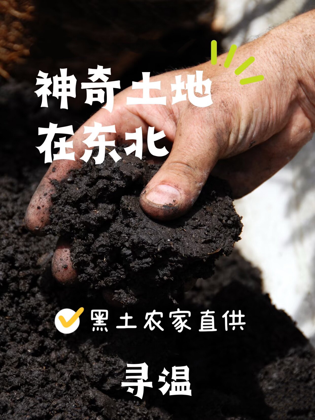 黑土农家直供