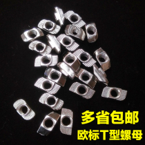 European standard T nut 20 30 40 45 type aluminum profile M3M4M5M6M8 stainless steel hammerhead ship nut