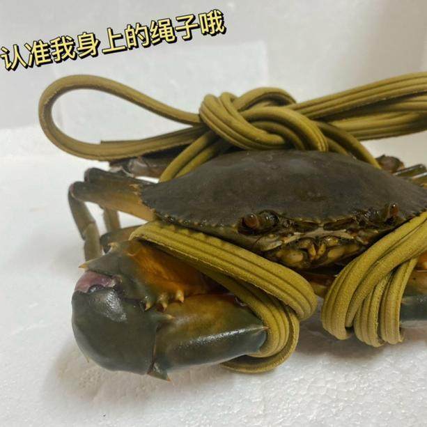 青蟹PK肉蟹，谁才是餐桌上的C位？小白必看，绝绝子！