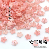 14 мм 丨 Порошок из ракушек королевы 10 шт.