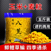 Wild fishing eight wasteland (potato flavor) fish bait beetle fermented corn nest material wild fishing crucian carp nest grass carp carp carp