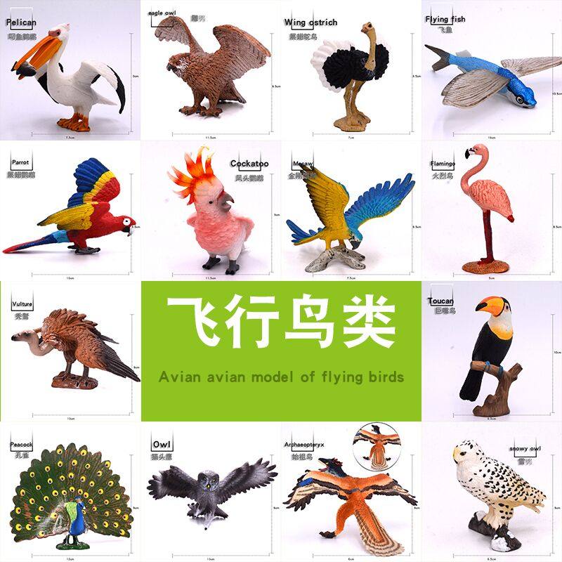 Child Solid Emulation Zoo Model Cognition Toy Flying Bird Fire Birds Pelican Parrot Owl Owl