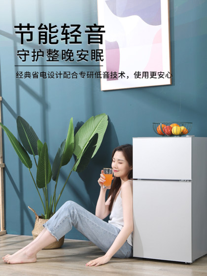 小冰箱小型家用宿舍出租房迷你双开门电冰箱一级能效节能冷冻冷藏