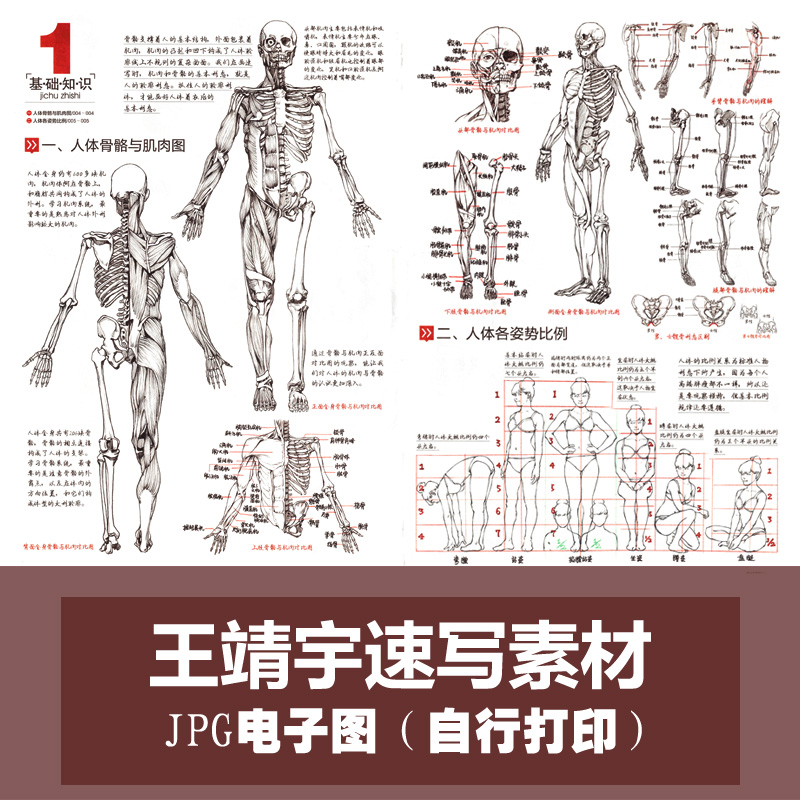 Wang Jingyu sketch copy card picture electronic version 2022 knocking brick painting basic art character entry material