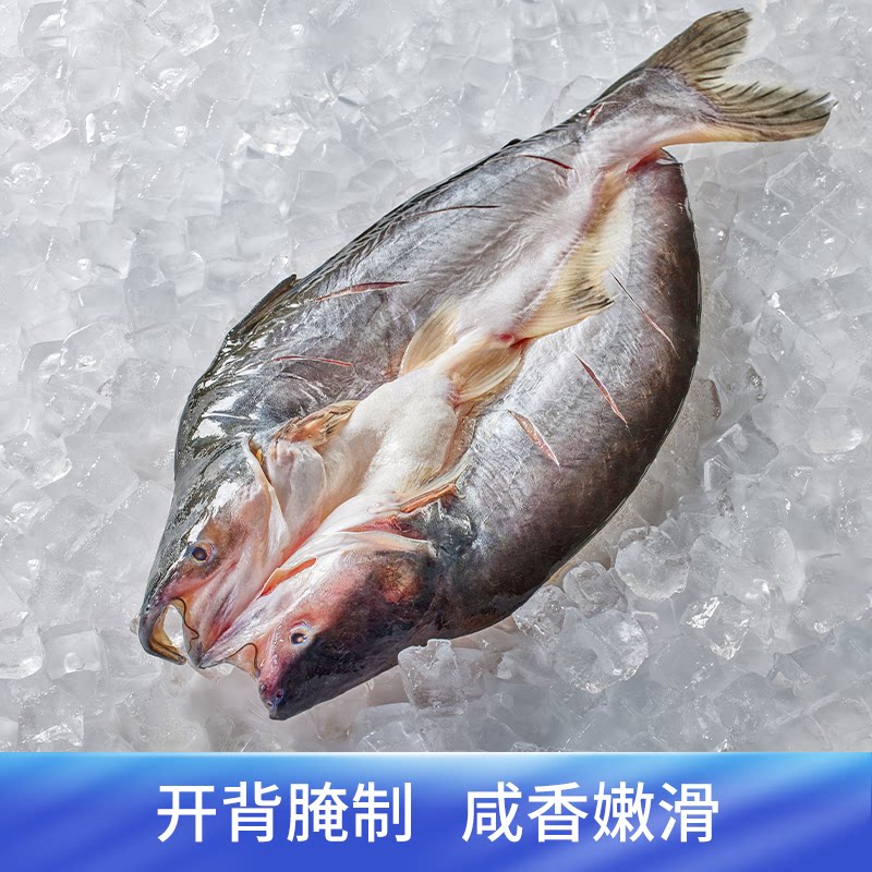 开背湄公鱼1250-1650g,无刺巴沙鱼如何选购?🐟美味与健康的完美结合-巴沙鱼-淘宝好物网