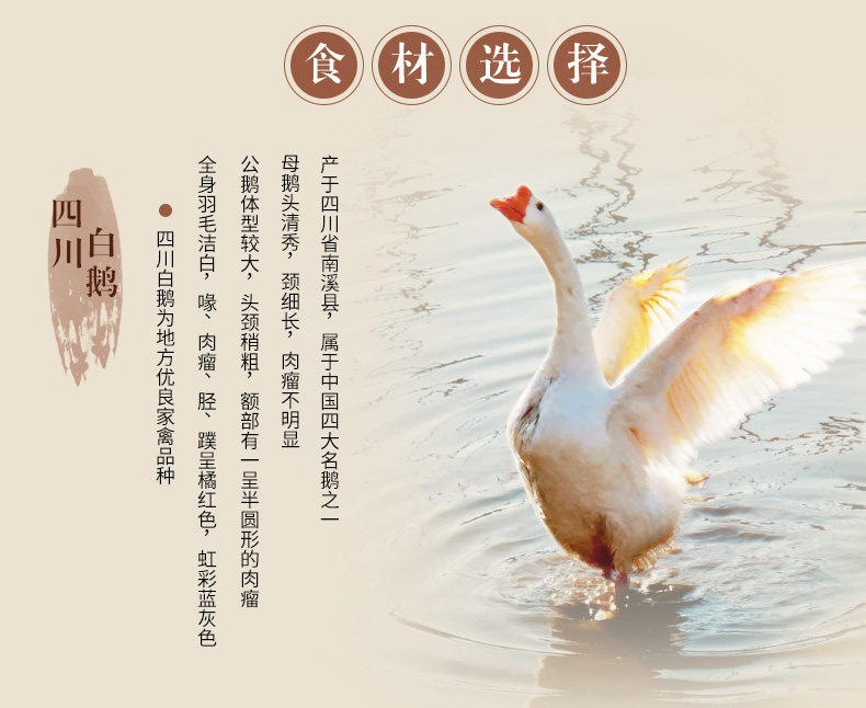 Snowy Goose 2_03.jpg.