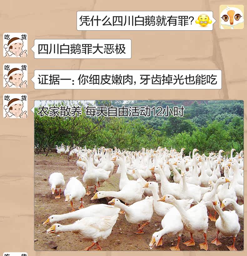 790_03.jpg