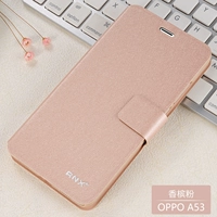 【A53 (2020)】 Порошок шампанского