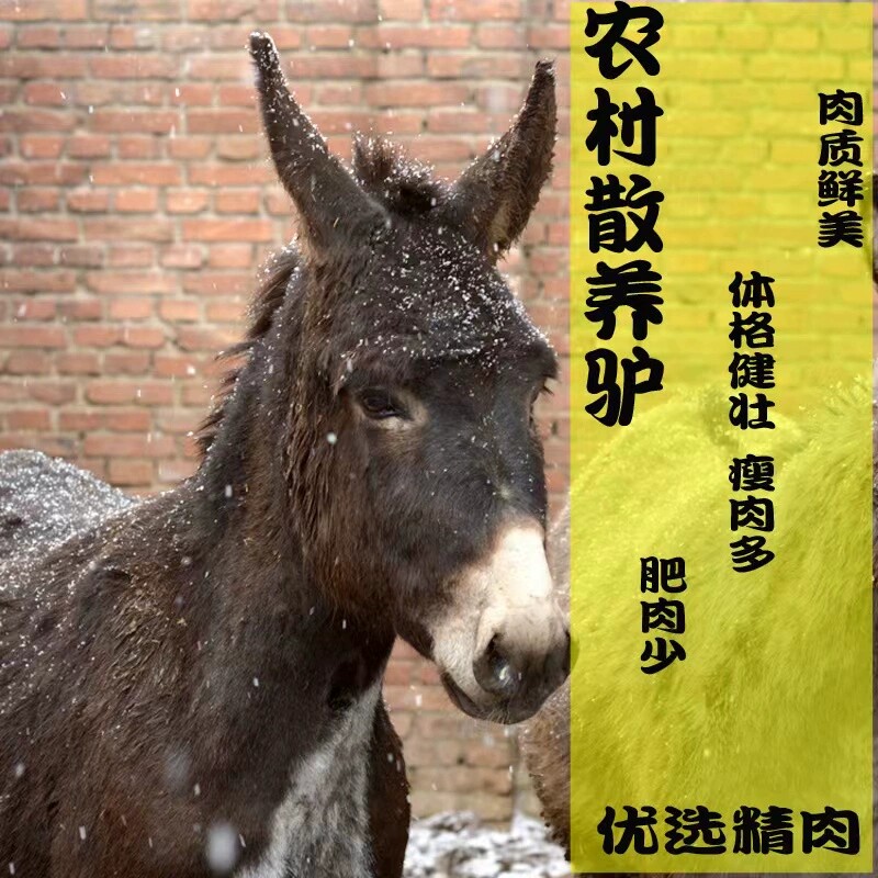 驴老板只做真驴肉