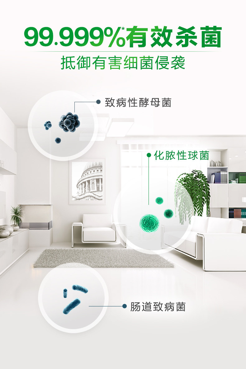 滴露 杀菌消毒液 1L*2瓶 图5