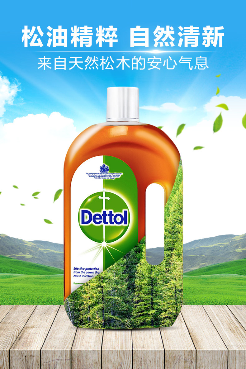 滴露 杀菌消毒液 1L*2瓶 图8