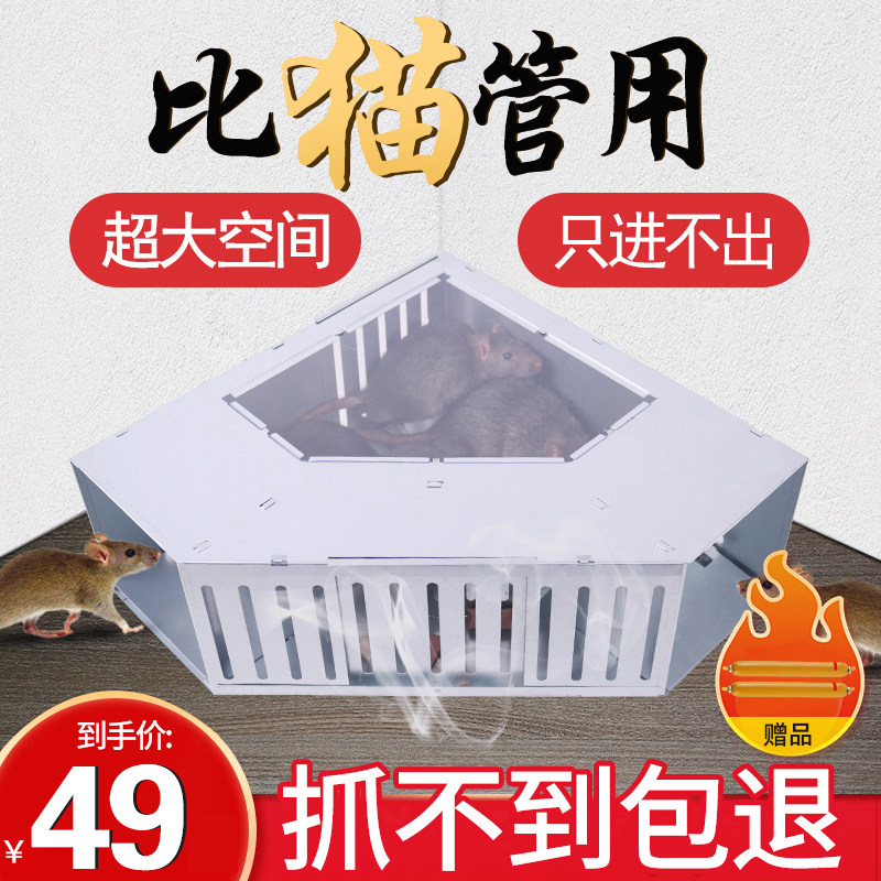 Continuous mouse catching artifact a nest of end nemesis kill catch catch catch cage efficient home fully automatic super indoors