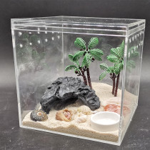 Grey-white strawberry short wrist concave foot deep purple hermit crab ornamental pet crab living land crab acrylic feeding set