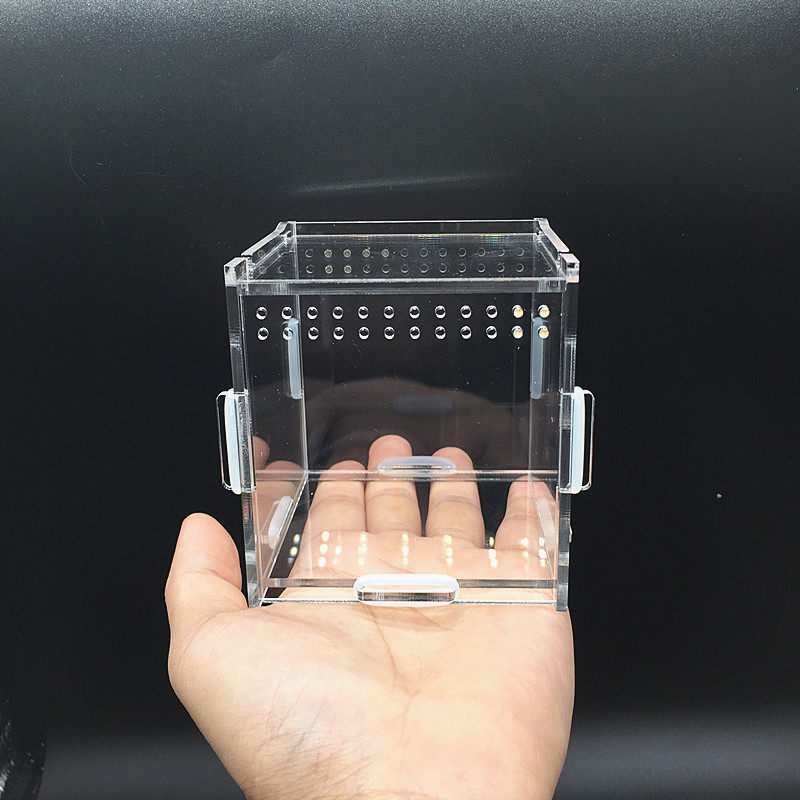 7.5 Square reptile pet pressure cree transparent spider scorpion leopard-print palace toy snake feeding box cabinet