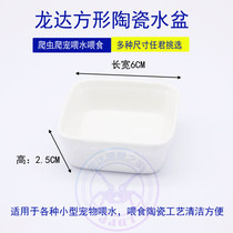 Reptile Eating Basin Tortoise Box Water Basin Climbing Spotting Food Pan Lizard Corner Frog Paviana Radiant Rearing Box Pet Drinking Water Tray