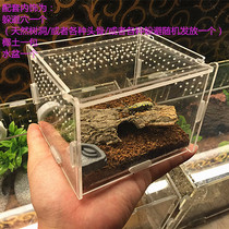 Acrylic Rearing Case Box Reptile Box Reptile Box Reptile Box Spider Lizard Lizard Beetle Keeper of the Palace Pet Snake Box