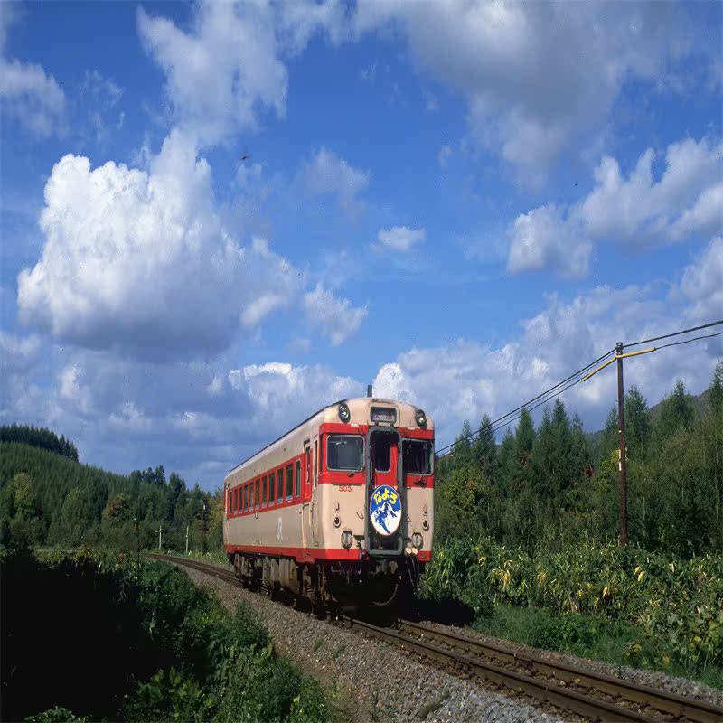 The scenic photos are taken with a real picture.