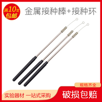 Metal inoculation Rod copper rod nickel chromium wire alloy inoculation ring (Rod ring) all copper inoculation Rod platinum ear bar