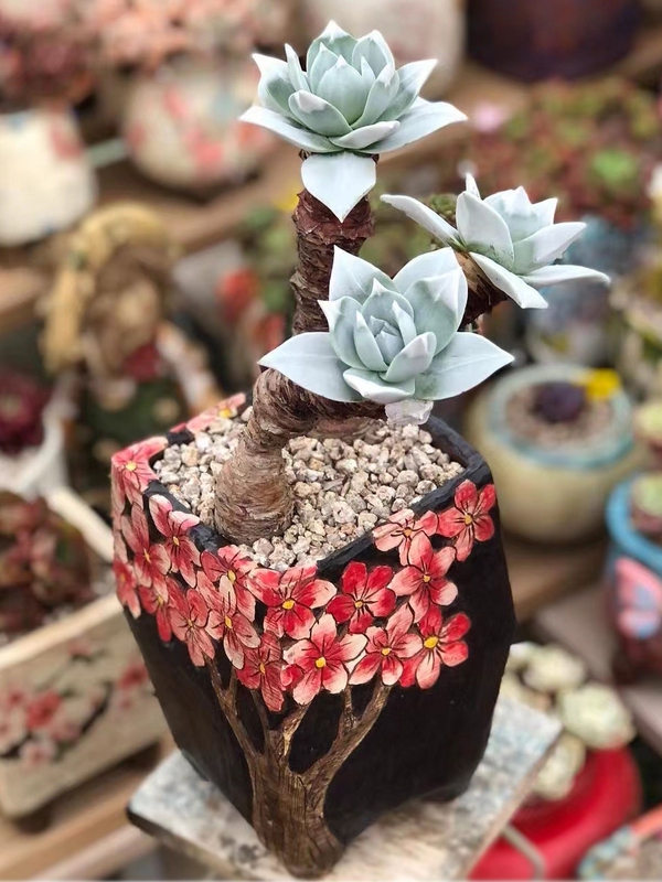 Dkn April 18Th【Premium Korean Pot】Golden Sisters Korean Pot