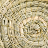 Кроличье кроличье гнездо totona toton, toton, toton, dorch pig wo ndes