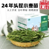 2024 В целом листья