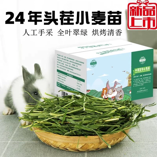 2024 В целом листья