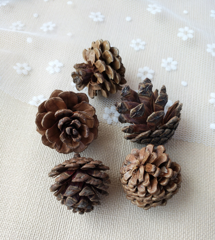 Bougie - Ref 2485701 Image 8