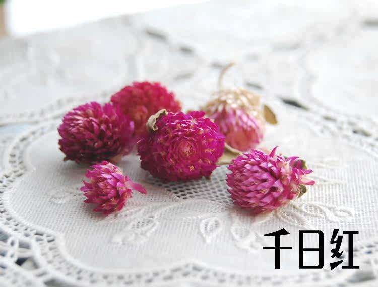 Bougie - Ref 2488241 Image 21